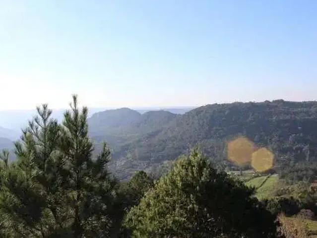 Terreno venda em Gramado