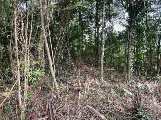 Terreno venda em Região Geográfica Imediata de Caxias do Sul, Gramado