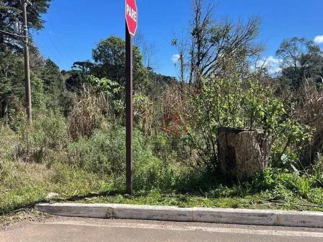 Terreno venda em Região Geográfica Imediata de Caxias do Sul, Gramado