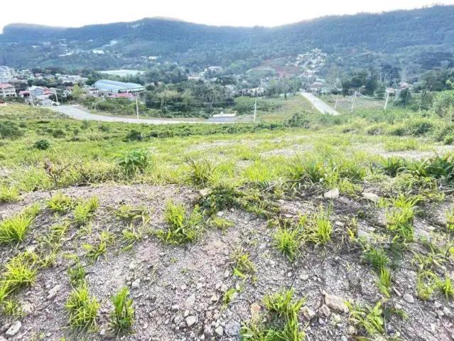 Terreno venda em Gramado