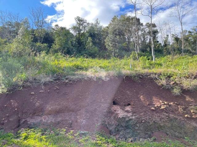 Terreno venda em Gramado