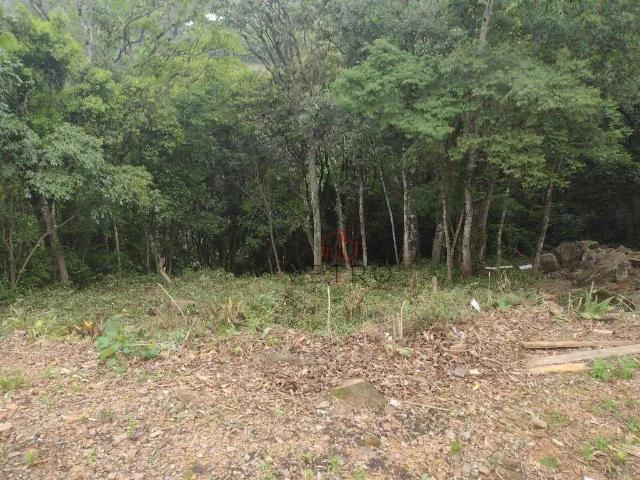 Terreno venda em Região Geográfica Imediata de Caxias do Sul, Gramado