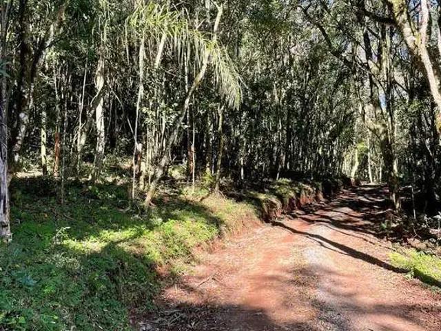 Terreno venda em Região Geográfica Imediata de Caxias do Sul, Gramado