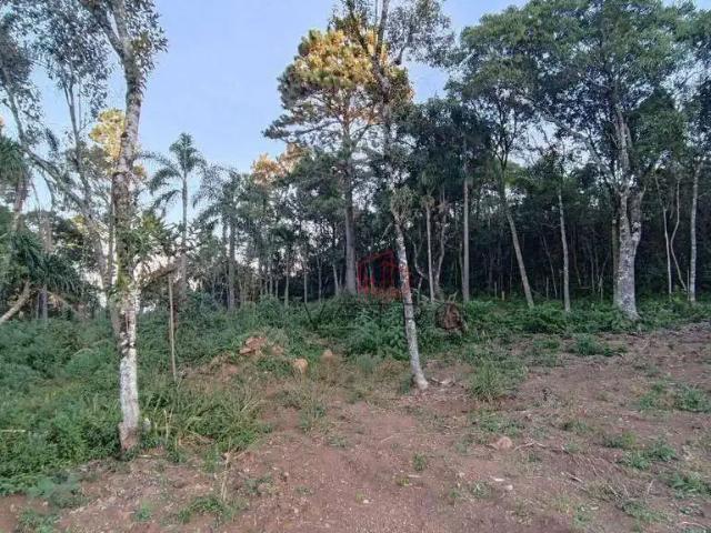 Terreno venda em Região Geográfica Imediata de Caxias do Sul, Gramado
