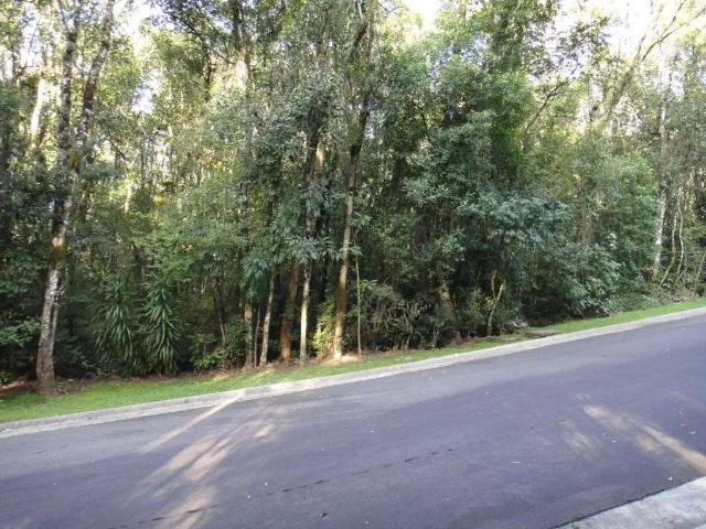 Terreno venda em Vila Suíça, Gramado