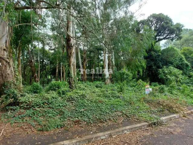 Terreno venda em Região Geográfica Imediata de Caxias do Sul, Gramado