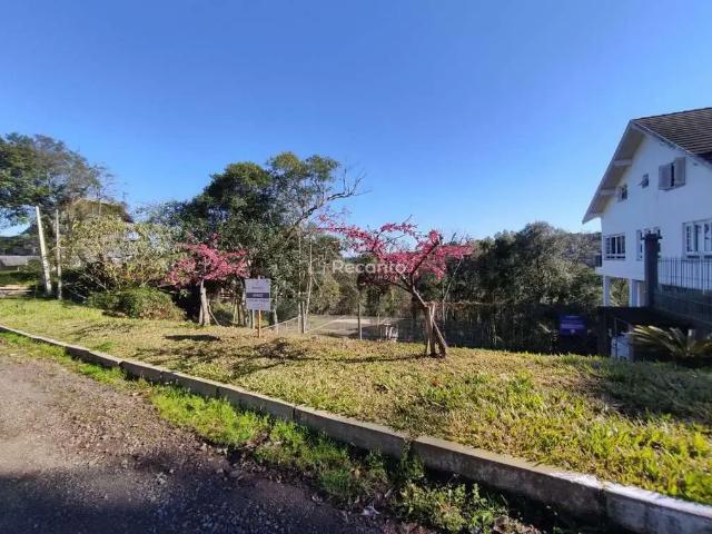 Terreno venda em Gramado