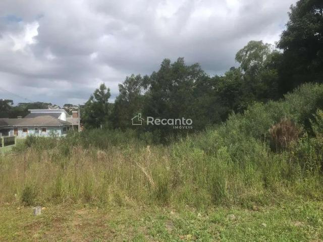 Terreno venda em Gramado
