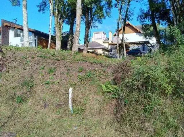 Terreno venda em Gramado
