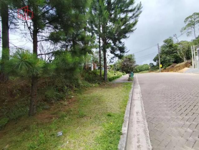 Terreno venda em Gramado