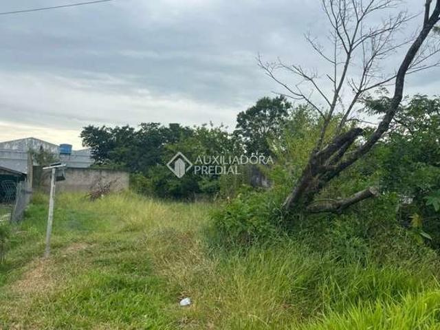 Terreno venda em Região Geográfica Imediata de Porto Alegre, Região Metropolitana de Porto Alegre