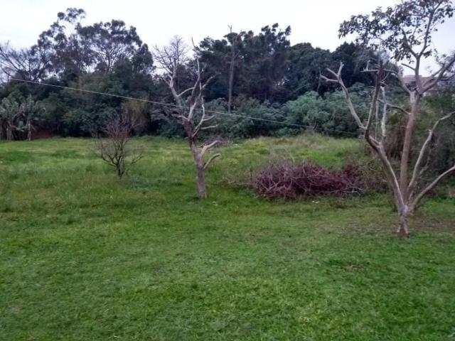 Terreno venda em Gravataí, Região Geográfica Intermediária de Porto Alegre