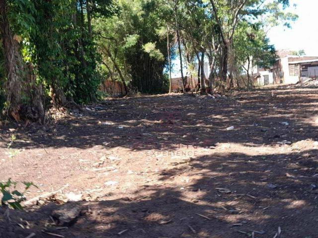 Terreno venda em Gravataí