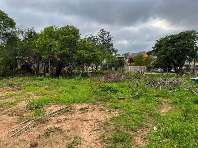 Terreno venda em Gravataí