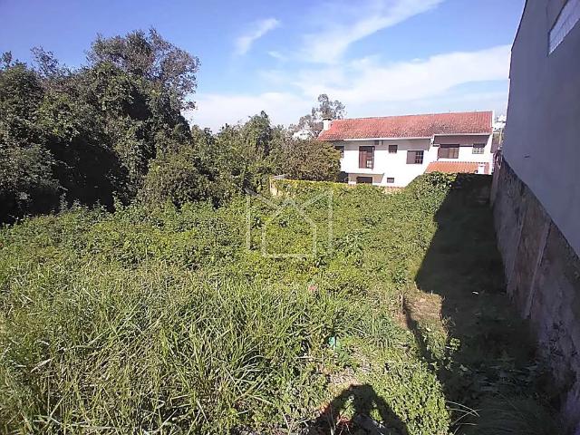 Terreno venda em Gravataí