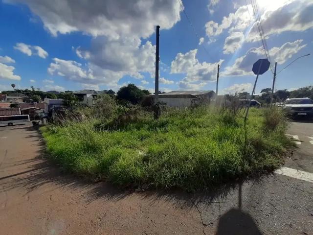 Terreno venda em Gravataí