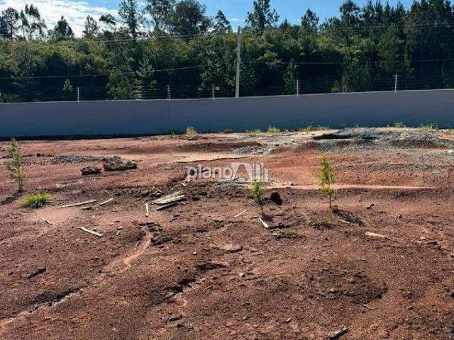 Terreno venda em Gravataí