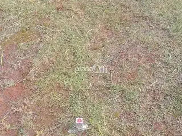 Terreno venda em Vila Angélica, Gravataí