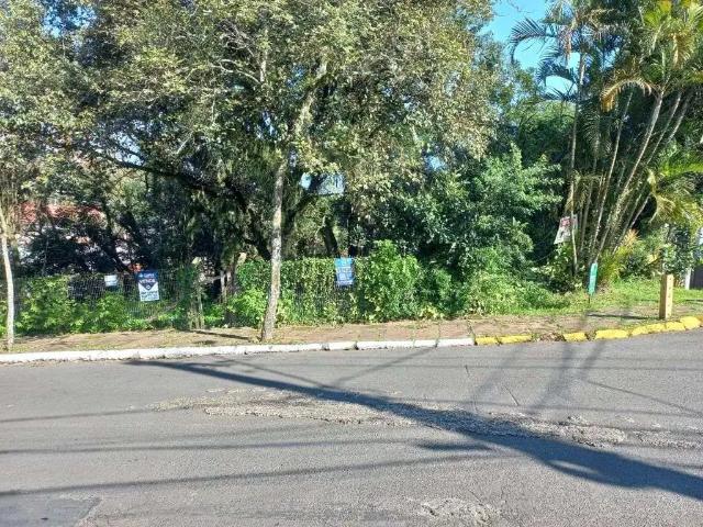 Terreno venda em Gravataí
