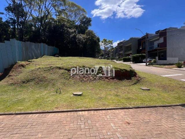 Terreno venda em Gravataí