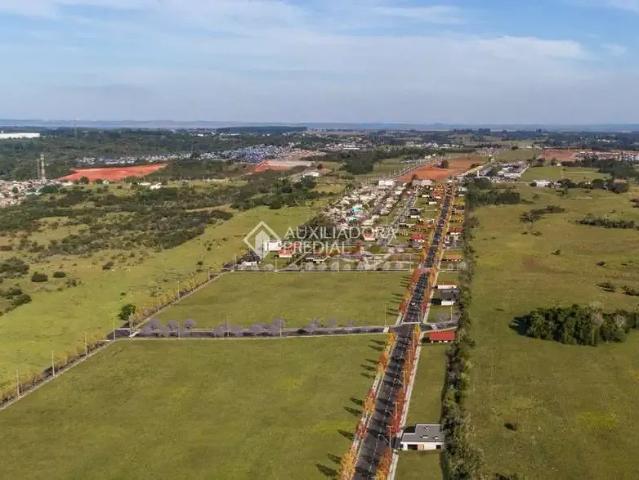 Terreno venda em Gravataí