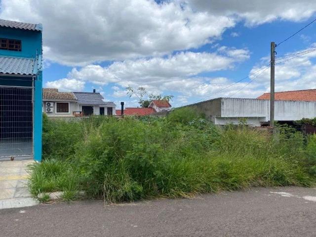 Terreno venda em Villa Lucchesi, Gravataí