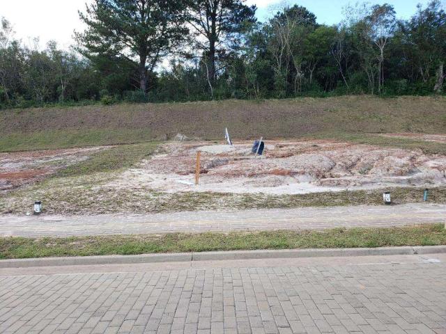 Terreno venda em Gravataí