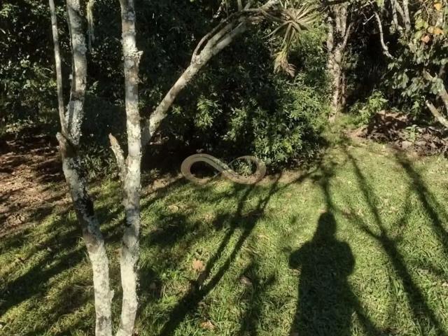 Terreno venda em Região Geográfica Imediata de Porto Alegre, Região Metropolitana de Porto Alegre