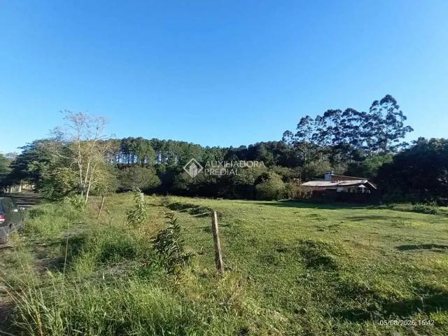 Terreno venda em Gravataí