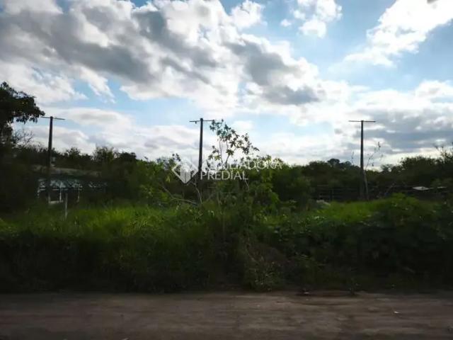 Terreno venda em Gravataí