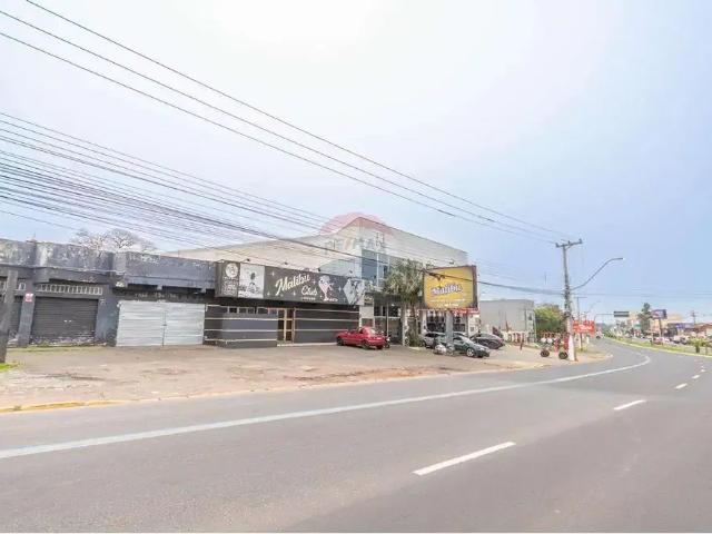 Terreno venda em Gravataí