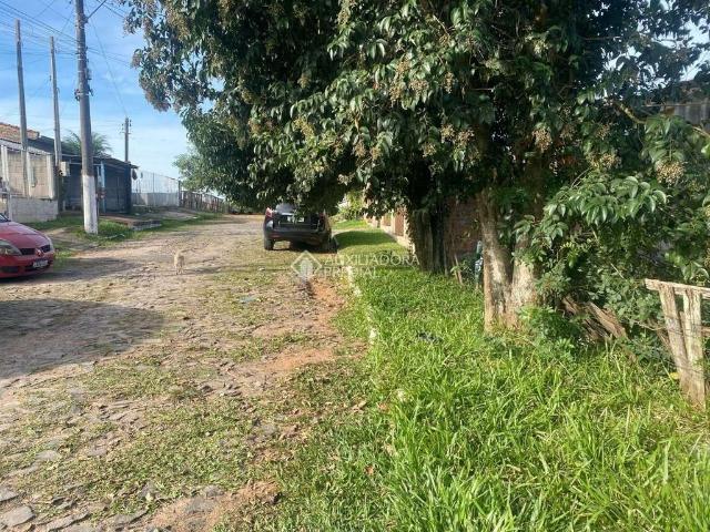 Terreno venda em Região Geográfica Imediata de Porto Alegre, Região Metropolitana de Porto Alegre