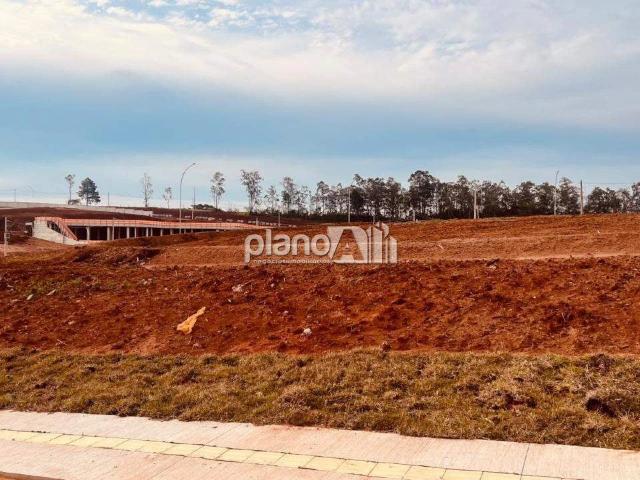 Terreno venda em Gravataí