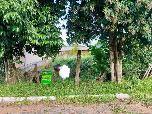 Terreno venda em Gravataí