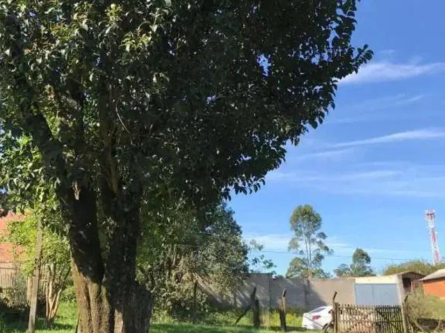 Terreno venda em Região Geográfica Imediata de Porto Alegre, Região Metropolitana de Porto Alegre