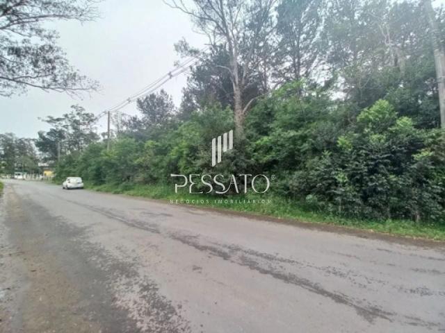Terreno venda em Gravataí