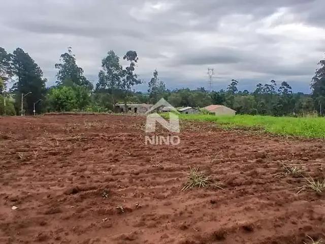 Terreno venda em Região Geográfica Imediata de Porto Alegre, Região Metropolitana de Porto Alegre