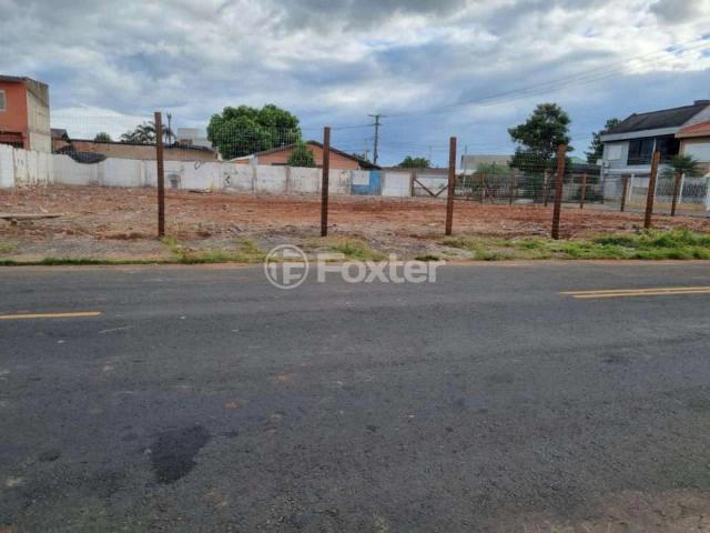 Terreno venda em Gravataí