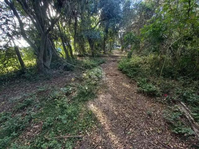 Terreno venda em Gravataí
