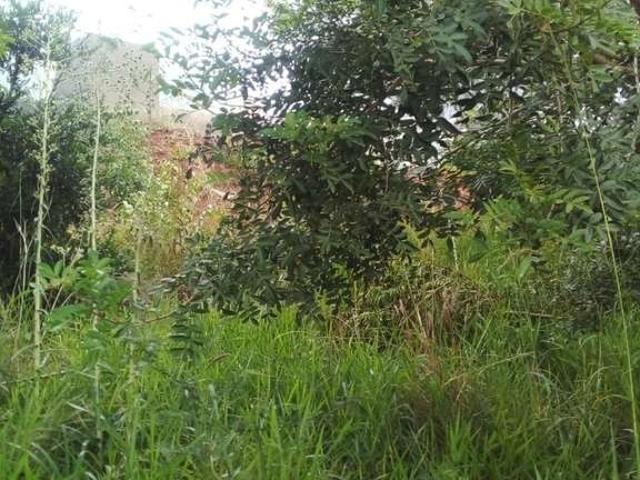Terreno venda em Região Geográfica Imediata de Porto Alegre, Região Metropolitana de Porto Alegre