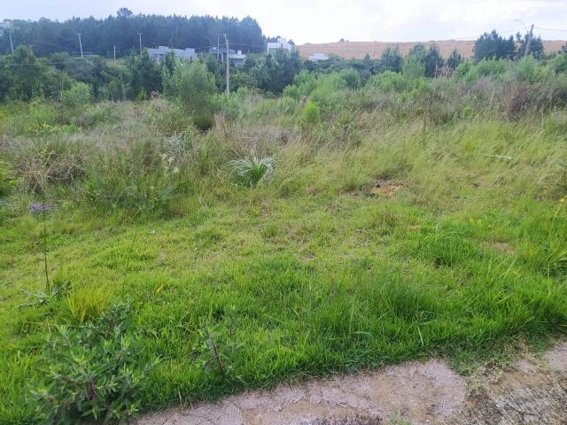 Terreno venda em Renascença, Gravataí