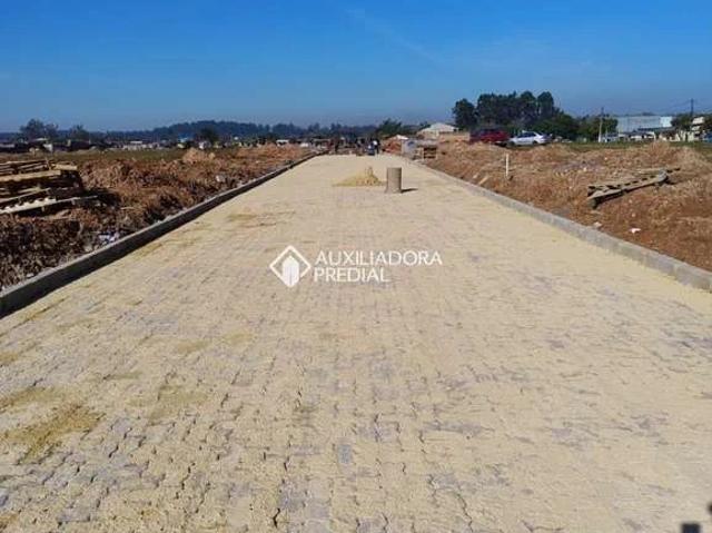 Terreno venda em Gravataí