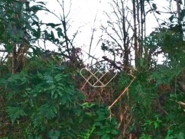 Terreno venda em Região Geográfica Imediata de Porto Alegre, Região Metropolitana de Porto Alegre