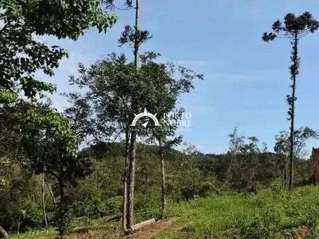 Terreno venda em Região Geográfica Imediata de Porto Alegre, Região Metropolitana de Porto Alegre