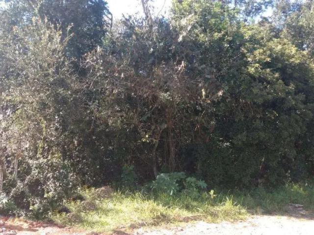 Terreno venda em Região Geográfica Imediata de Porto Alegre, Região Metropolitana de Porto Alegre