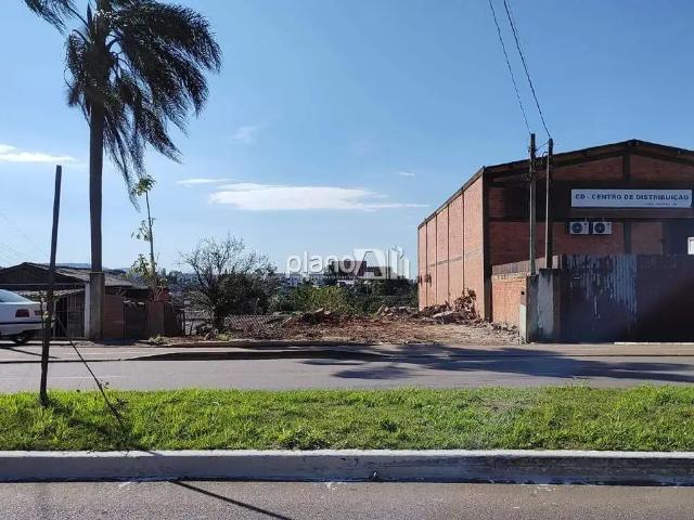 Terreno venda em Gravataí