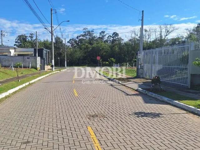 Terreno venda em Gravataí