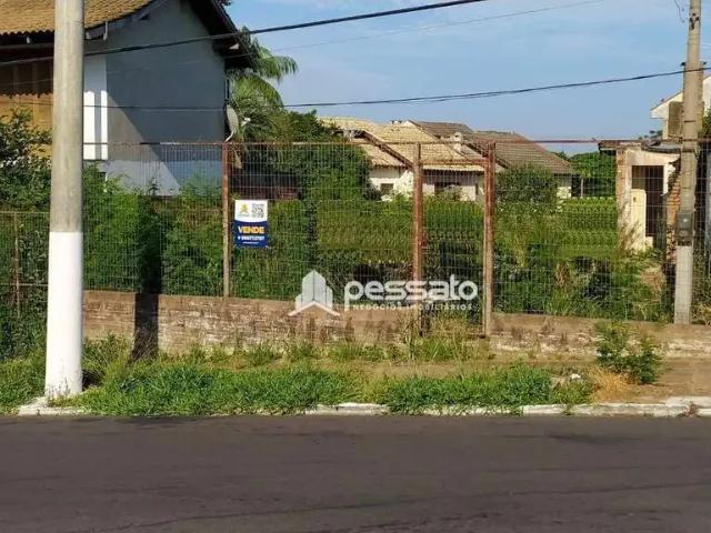 Terreno venda em Gravataí