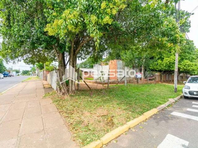 Terreno venda em Gravataí