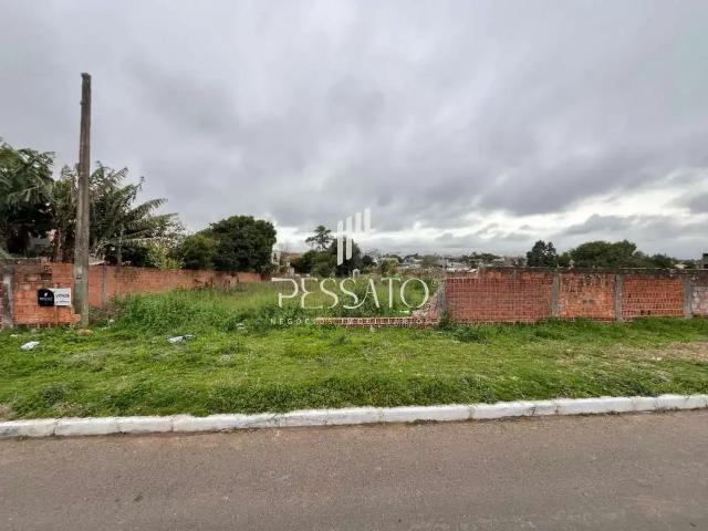 Terreno venda em Gravataí